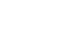 Royalty Seguros